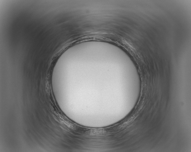 X0000076401354200610060919