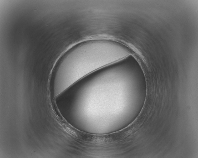 X0000076401364200610060919