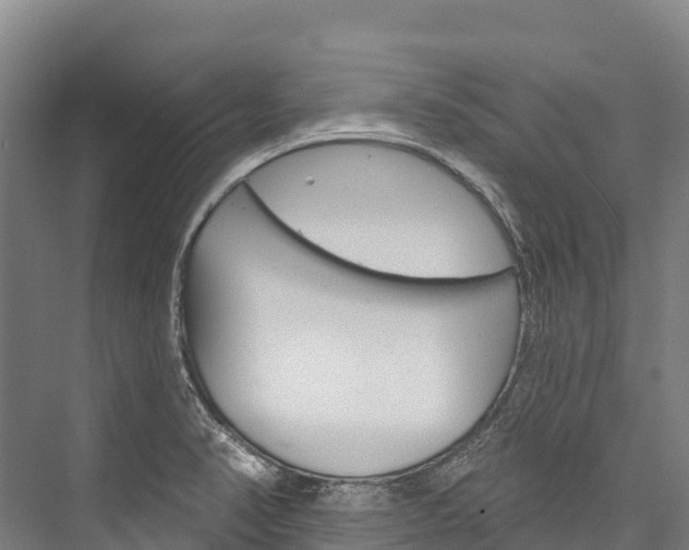 X0000076401374200610060918