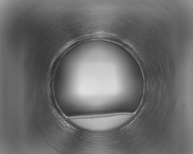 X0000076401410200610060918