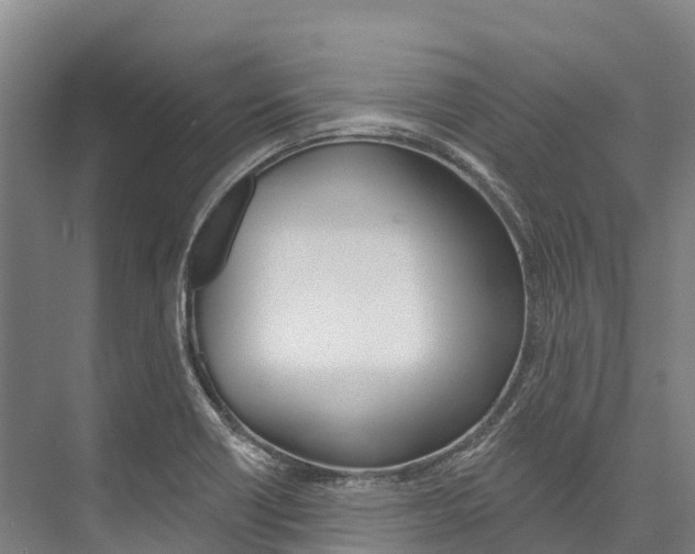 X0000076401418200610060918