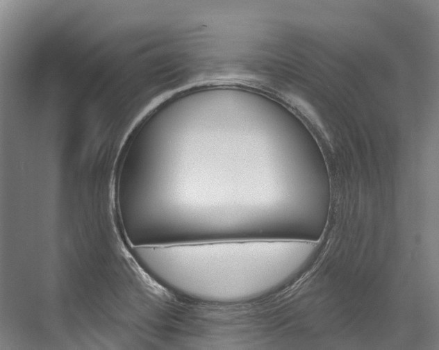 X0000076401420200610060918