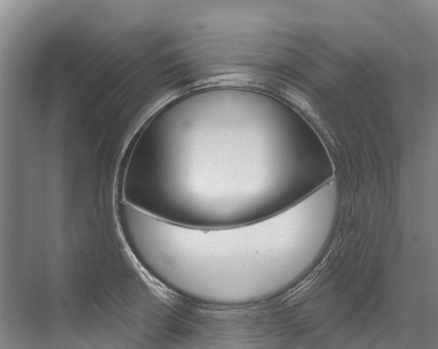 X0000076401426200610060918