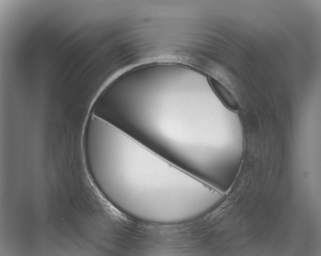 X0000076401428200610060918