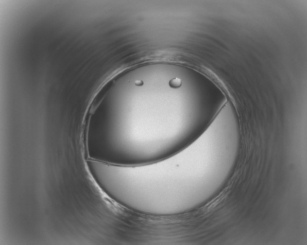 X0000076401434200610060918
