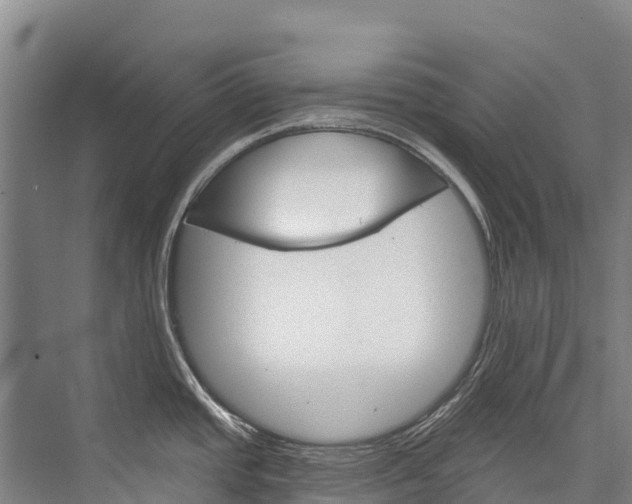 X0000076401437200610060918