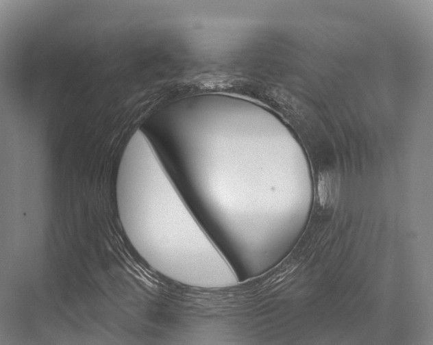 X0000076401444200610060917