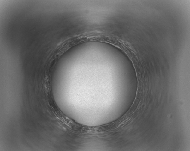 X0000076401445200610060917