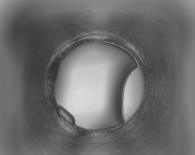 X0000076401448200610060917
