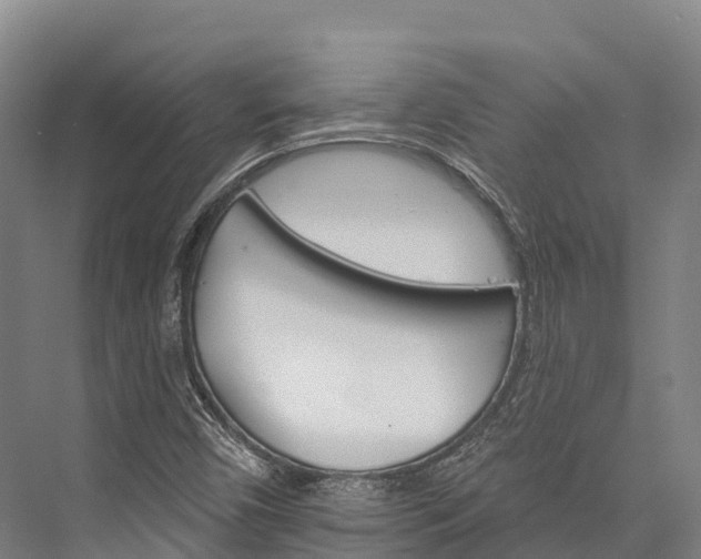 X0000076401450200610060917
