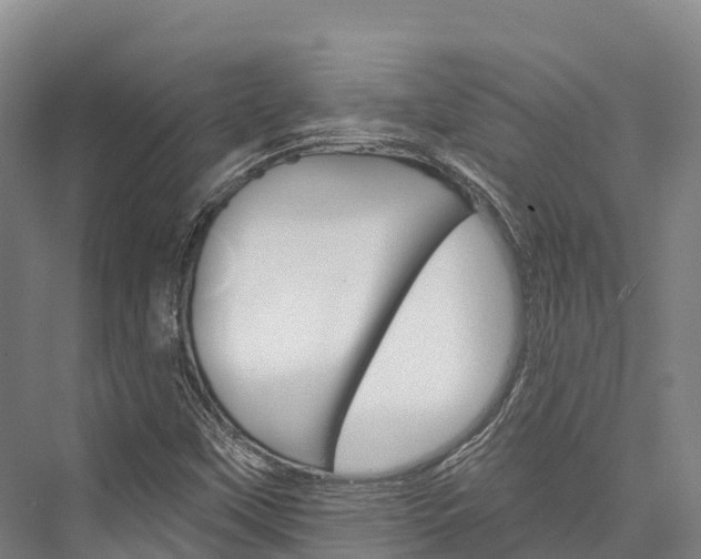 X0000076401451200610060917