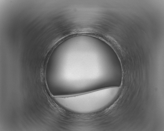 X0000076401457200610060917