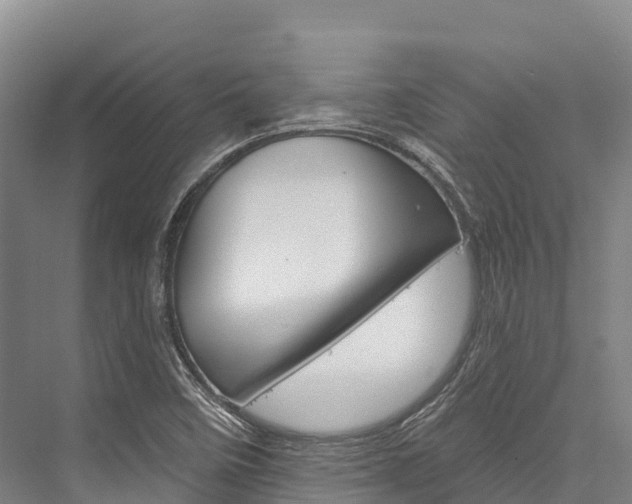 X0000076401458200610060917