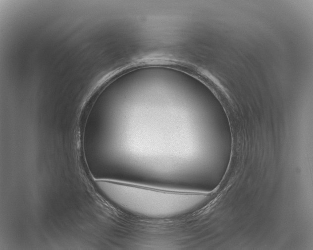 X0000076401461200610060917