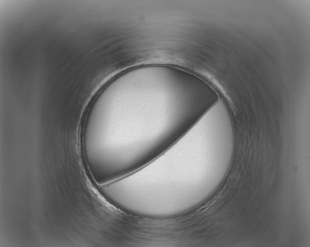 X0000076401468200610060917