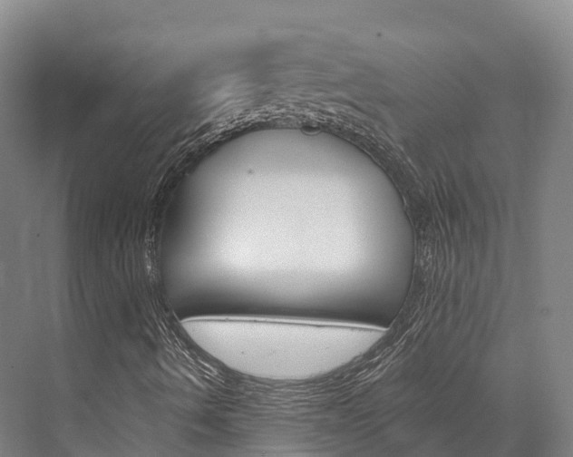 X0000076401490200610060916