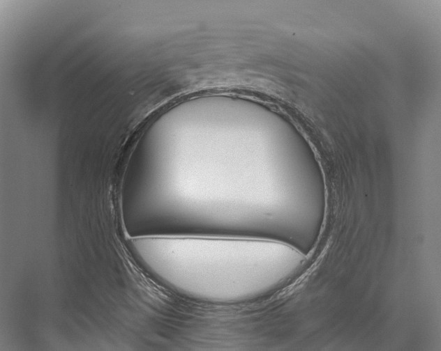 X0000076401497200610060916