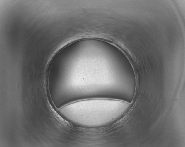 X0000076401500200610060916