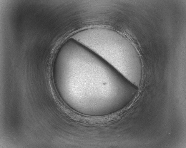 X0000076400001200610061229