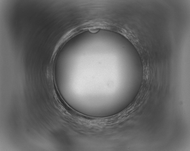 X0000076400004200610061229