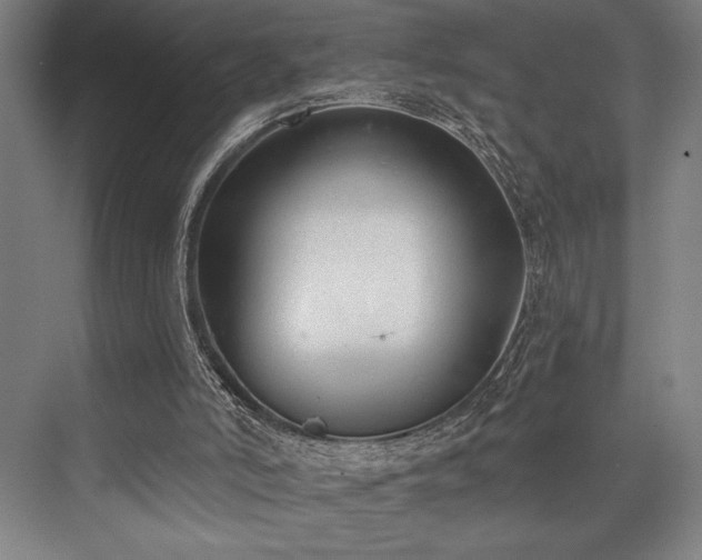 X0000076400006200610061229