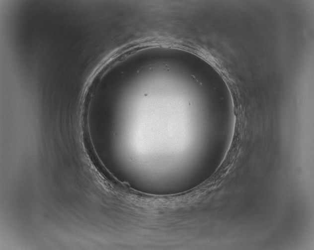 X0000076400007200610061229