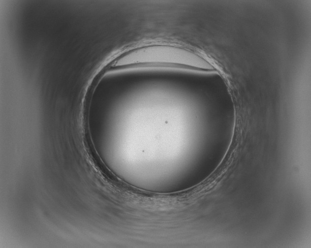 X0000076400008200610061229
