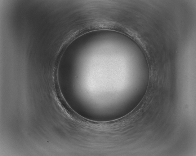 X0000076400010200610061229