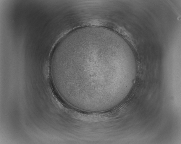 X0000076400012200610061229