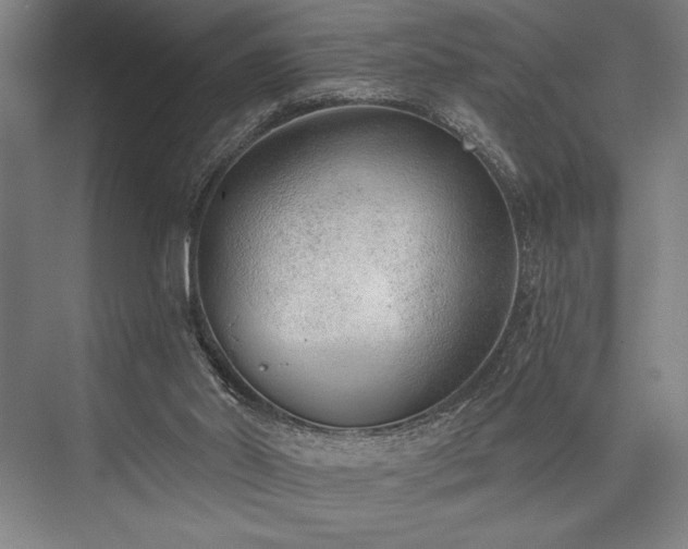 X0000076400014200610061229