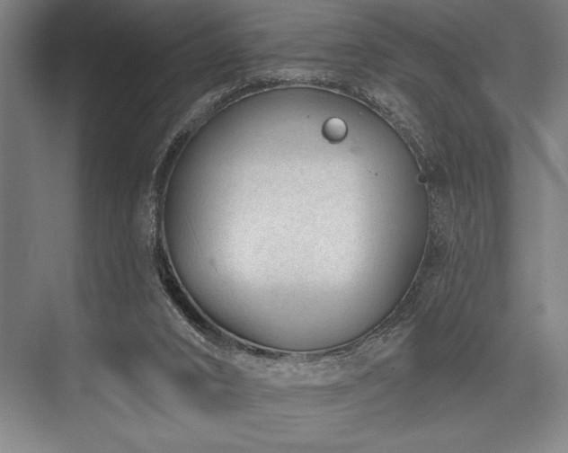 X0000076400016200610061229