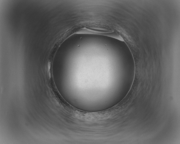 X0000076400022200610061229