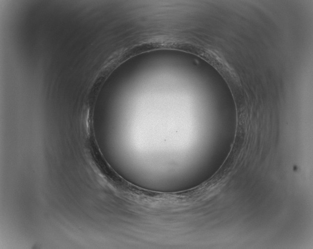 X0000076400024200610061229