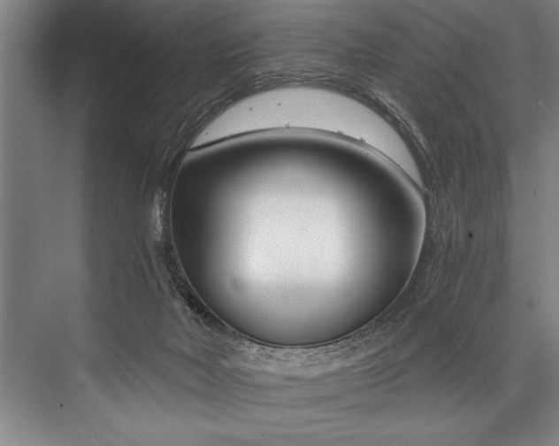 X0000076400026200610061228