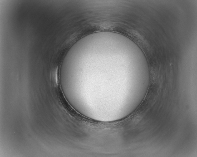 X0000076400028200610061228