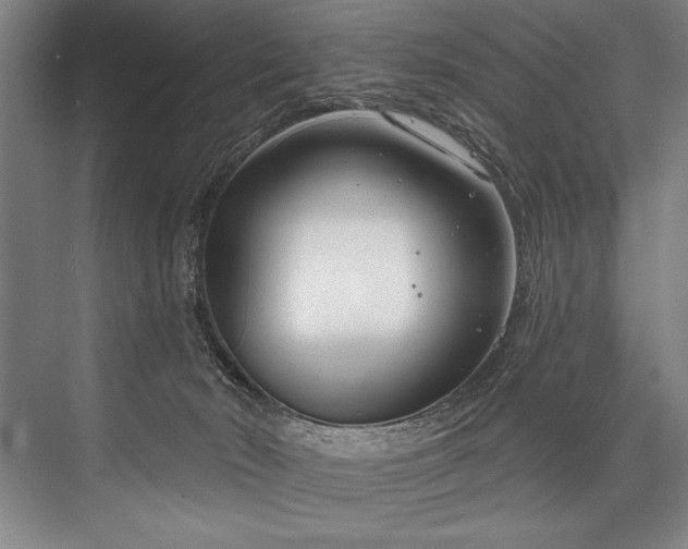 X0000076400030200610061228