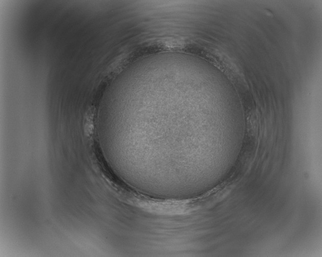 X0000076400032200610061228