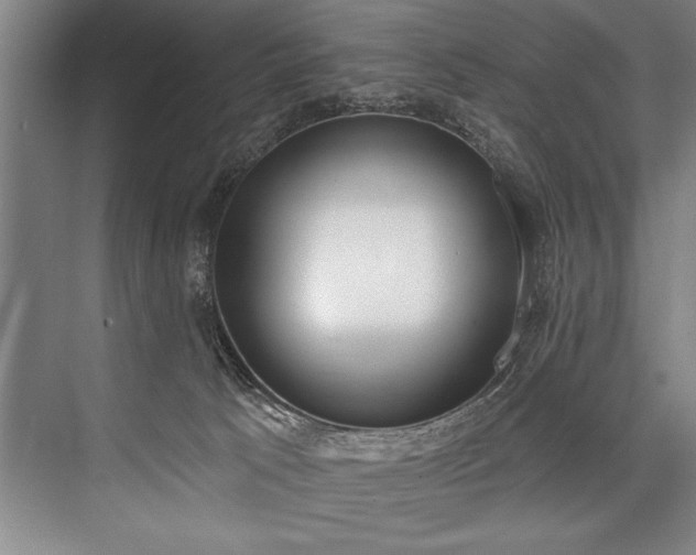 X0000076400033200610061228