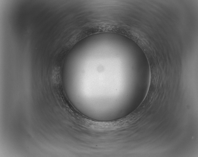 X0000076400034200610061228