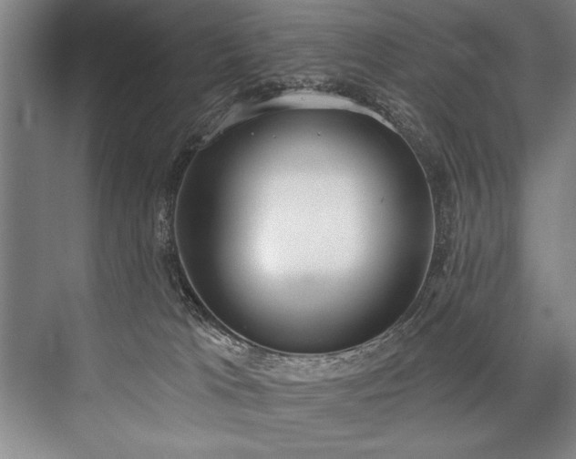 X0000076400037200610061228
