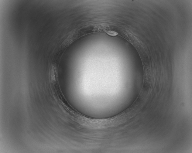 X0000076400038200610061228