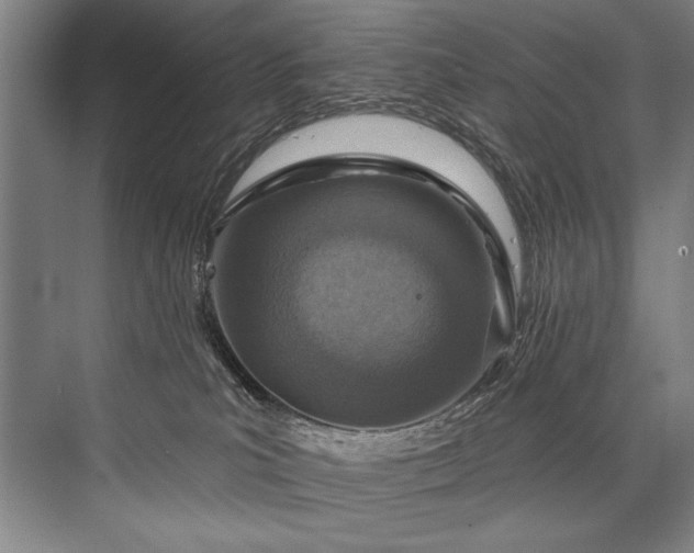 X0000076400039200610061228