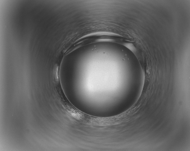X0000076400041200610061228