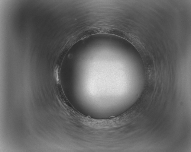 X0000076400042200610061228