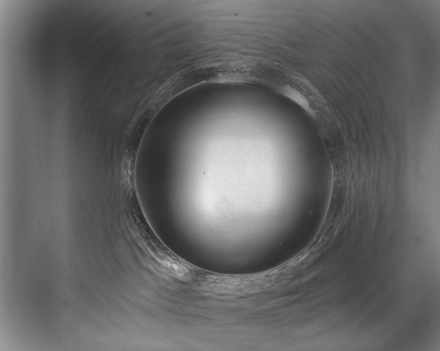 X0000076400045200610061228