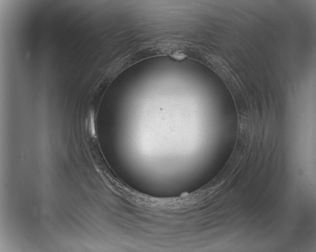 X0000076400046200610061228