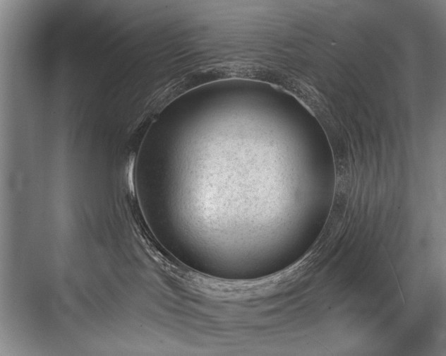 X0000076400047200610061228