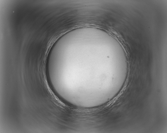X0000076400049200610061227