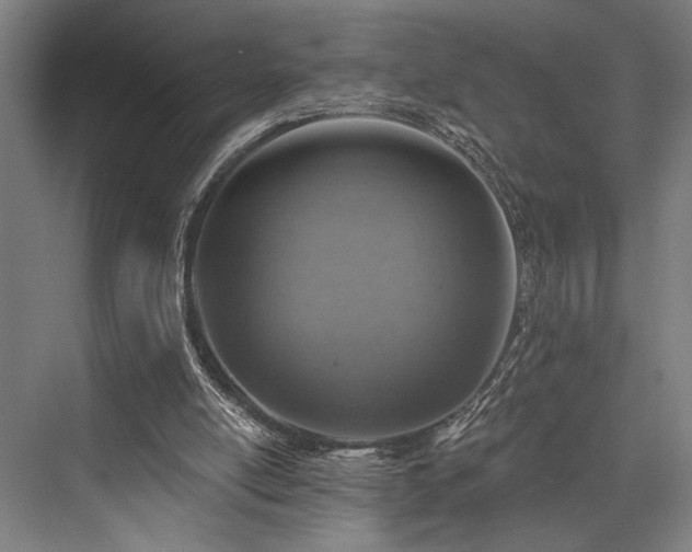 X0000076400054200610061227