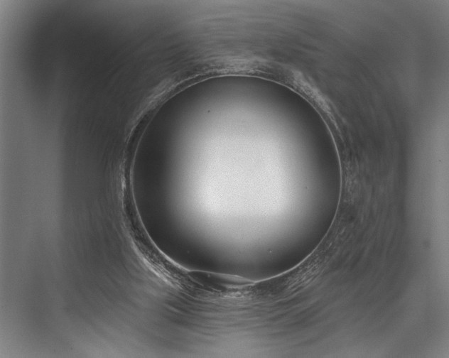 X0000076400059200610061227